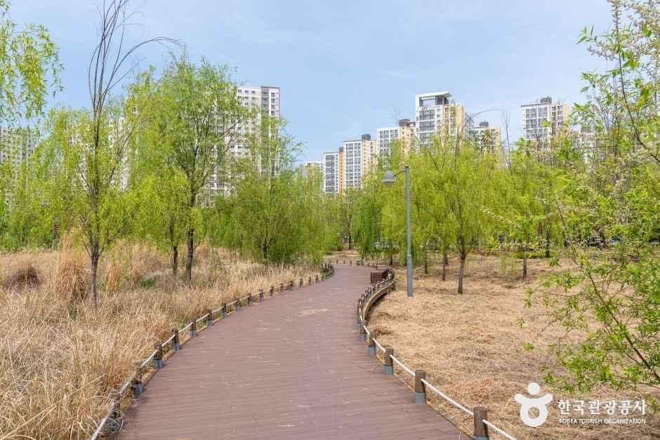 글빛누리공원 사진 3