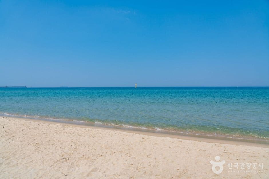 삼척해변 사진 3