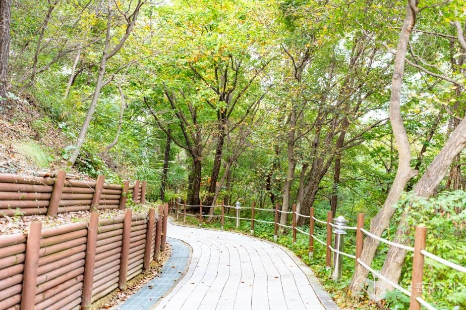 아산 영인산자연휴양림 사진 4