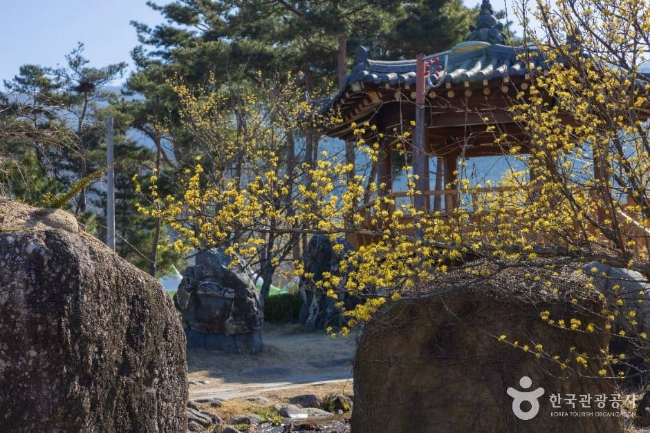구례 산수유마을 사진 1