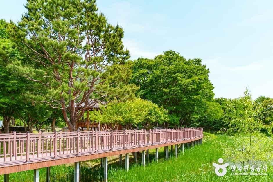 바람새마을 소풍정원 사진 2