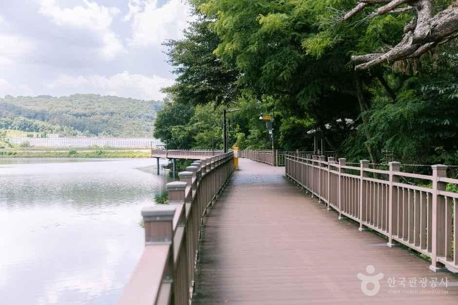 백운호수 사진 5