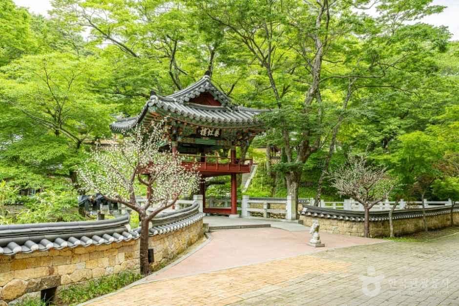 천은사(구례) 사진 2