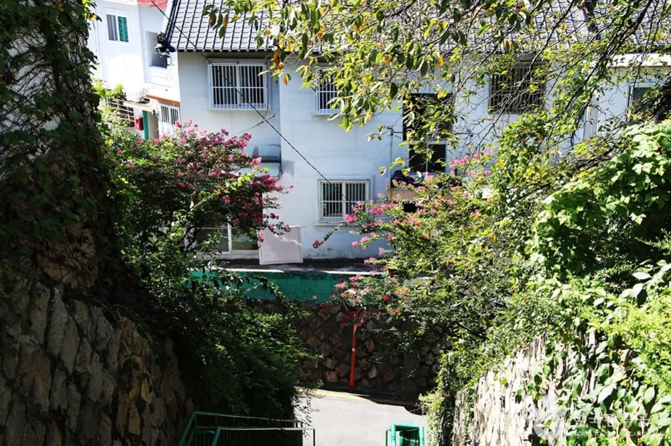 개금벚꽃길