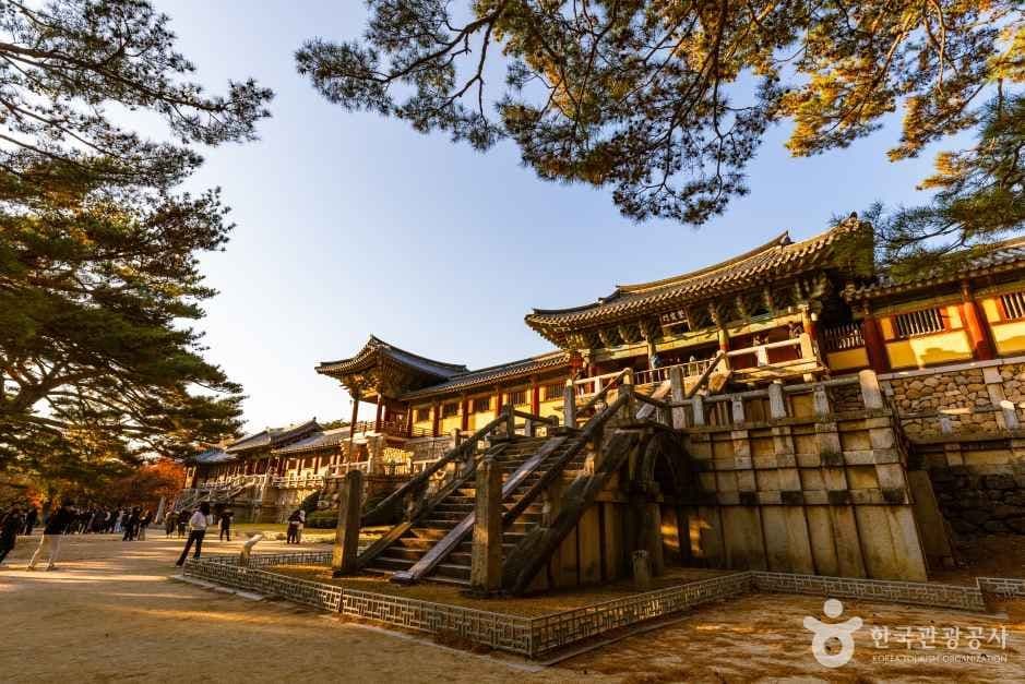 경주 불국사 [유네스코 세계유산] 사진 5