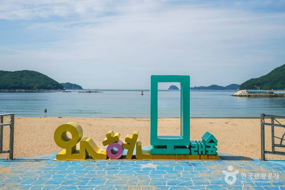 와현모래숲해변