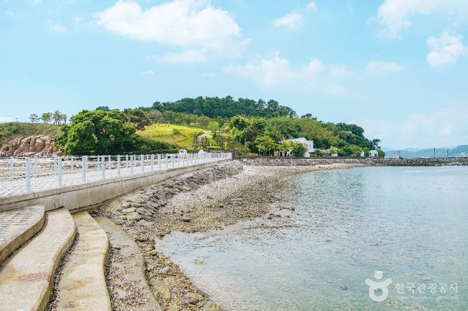 예술의 섬 장도 사진 4