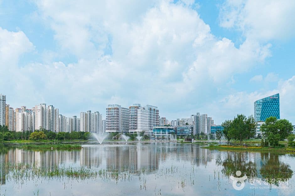 빛가람 호수공원 사진 4