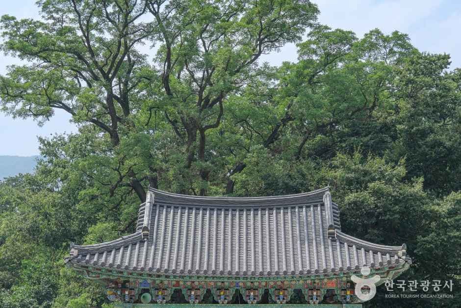표충사(밀양) 사진 3