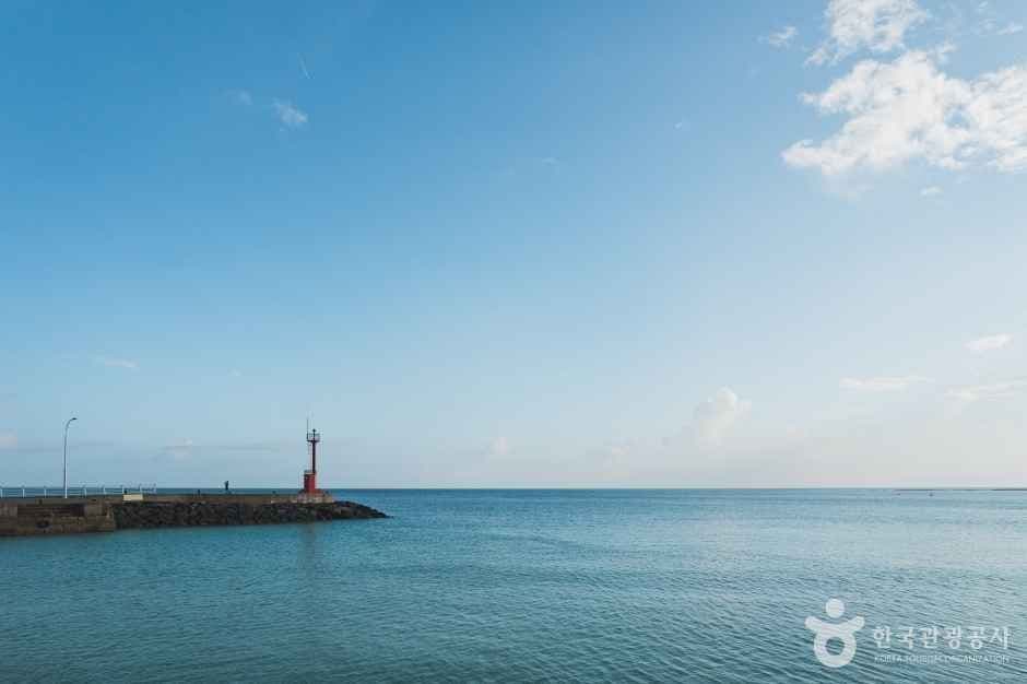 세기알해변 사진 2