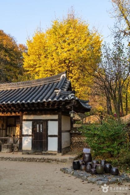 한국민속촌 사진 4