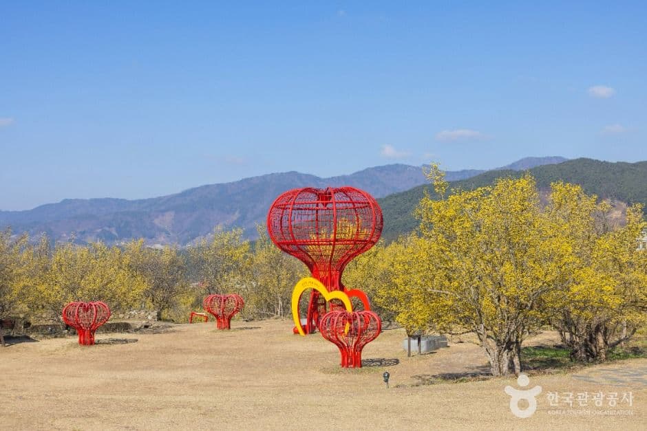 구례 산수유마을 사진 2