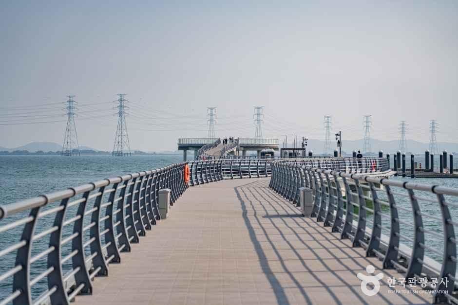 거북섬 사진 1