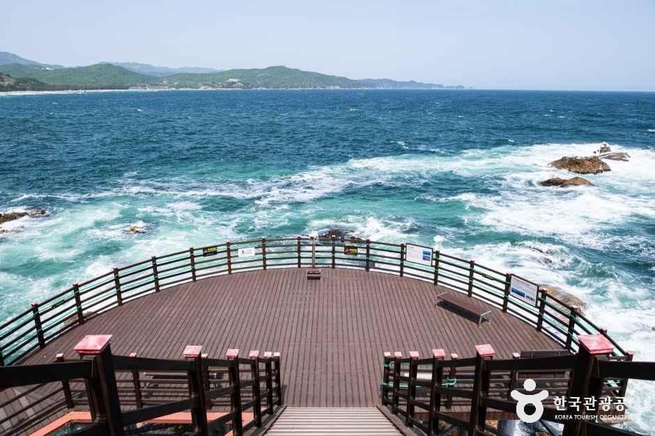 초곡 용굴촛대바위길 사진 5