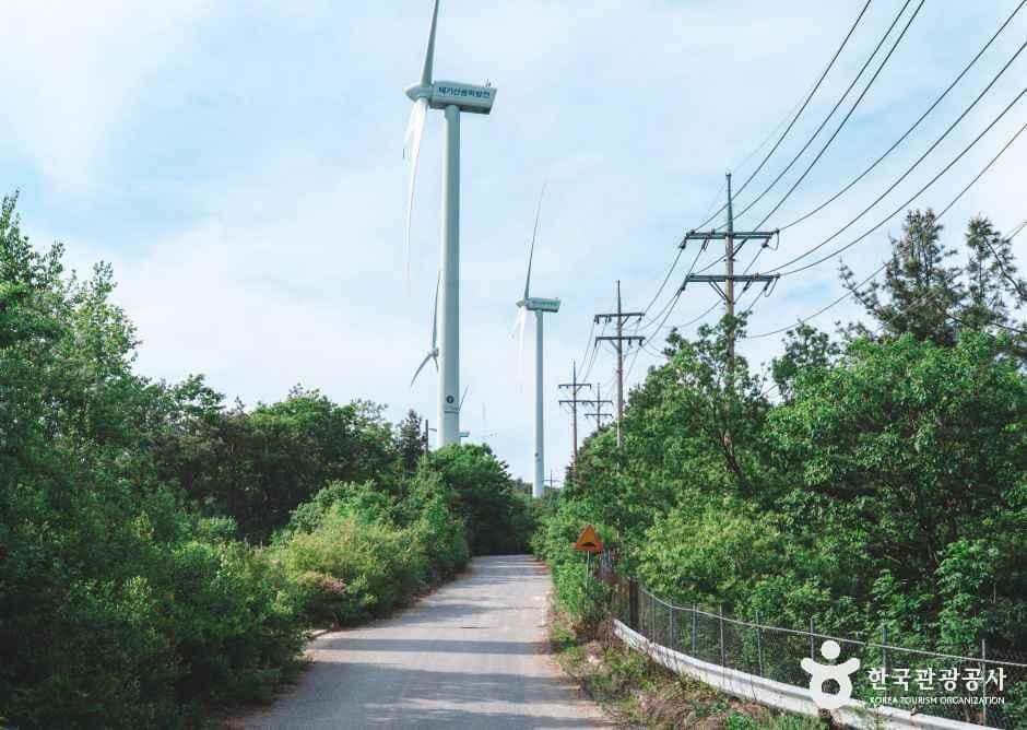 태기산 사진 4