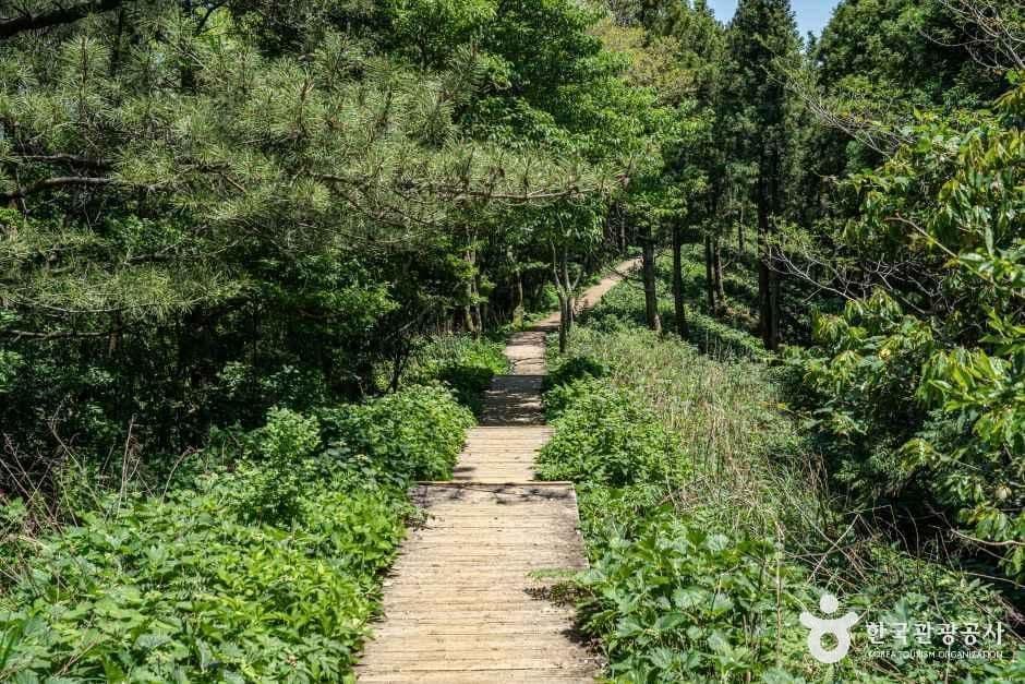거문오름 사진 1