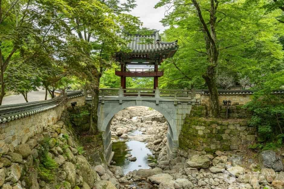 천은사(구례) 사진 3