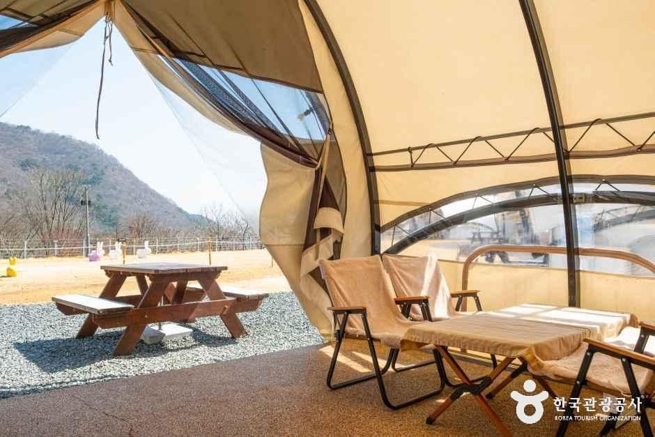 월아산 숲속의 진주 사진 3