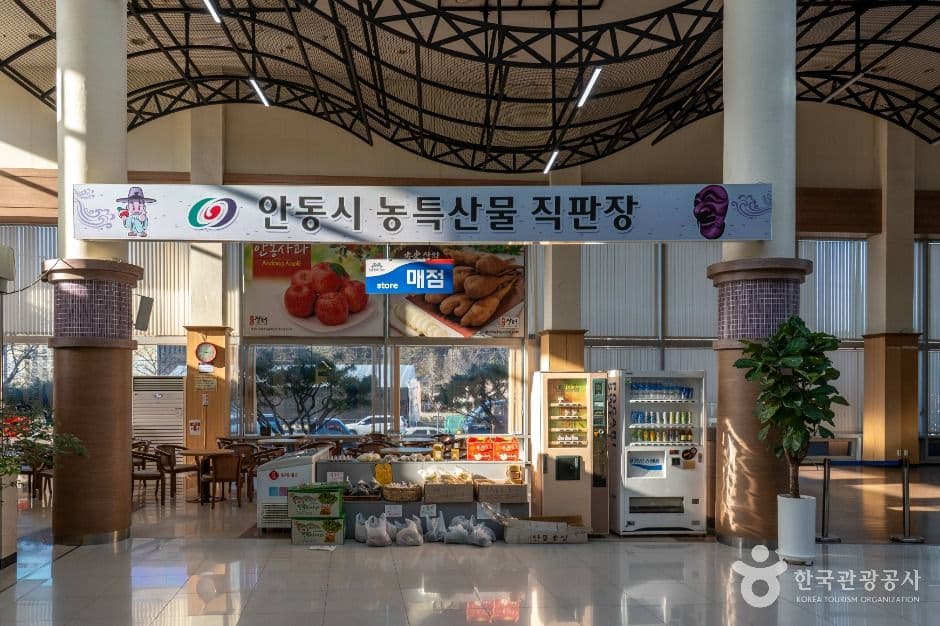 안동학가산온천 사진 4