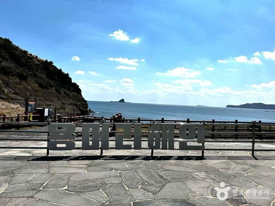 용머리해안 사진 6
