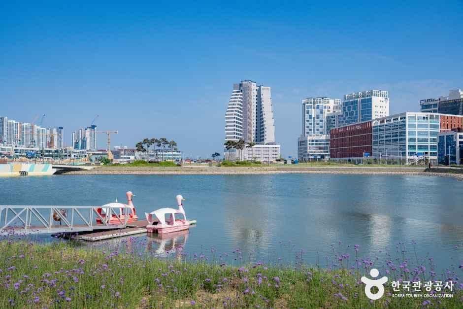 거북섬 사진 3