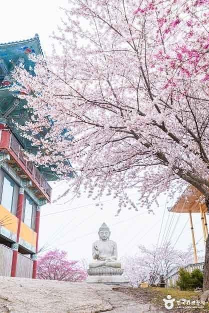 안면암(태안) 사진 6