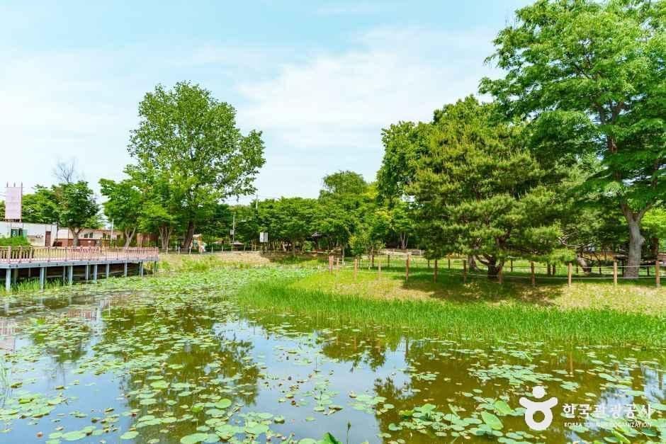 바람새마을 소풍정원 사진 4