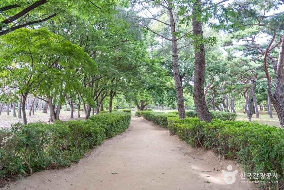 김해수로왕릉 사진 5