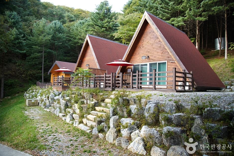 치악산자연휴양림