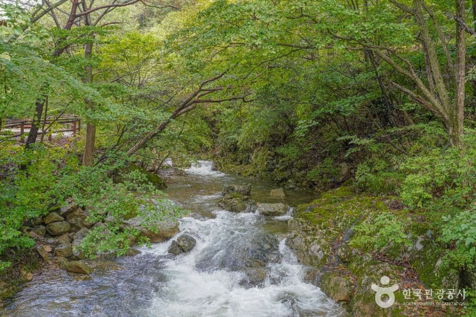 국립 운장산자연휴양림 사진 2