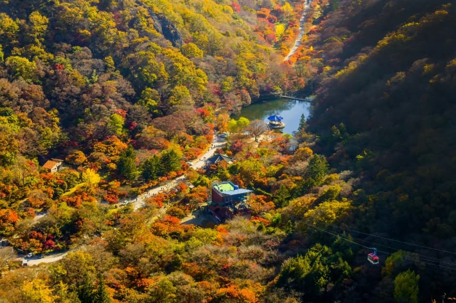 우화정(내장산) 사진 1