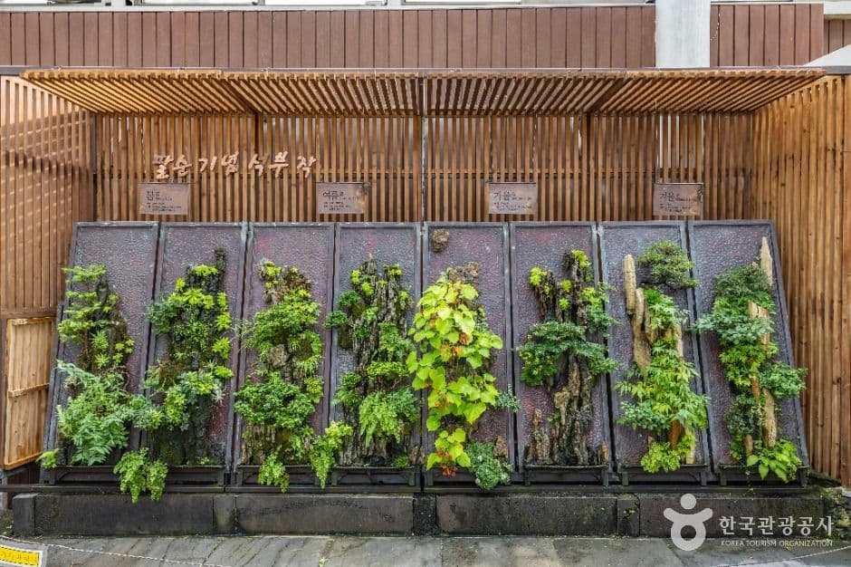 방림원 사진 4