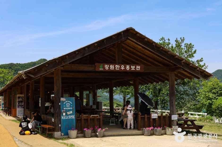 해피초원목장 사진 1