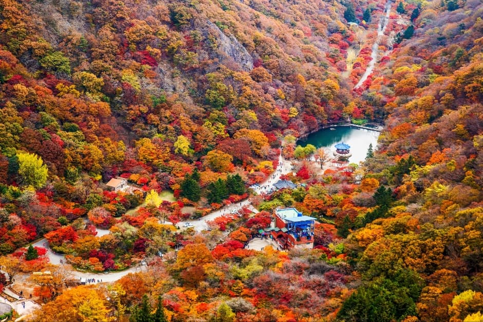 우화정(내장산) 사진 2