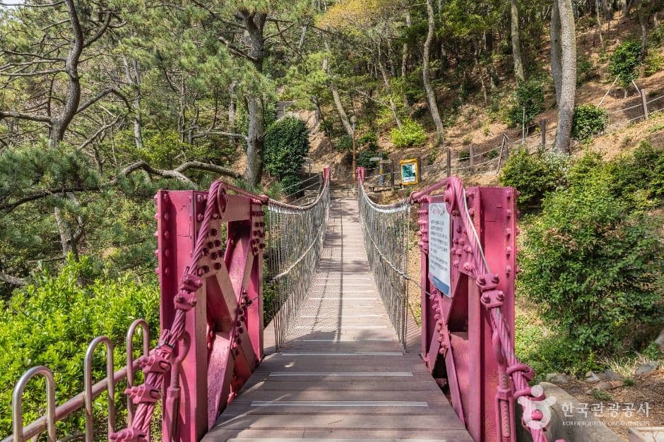 부산 암남공원 사진 3