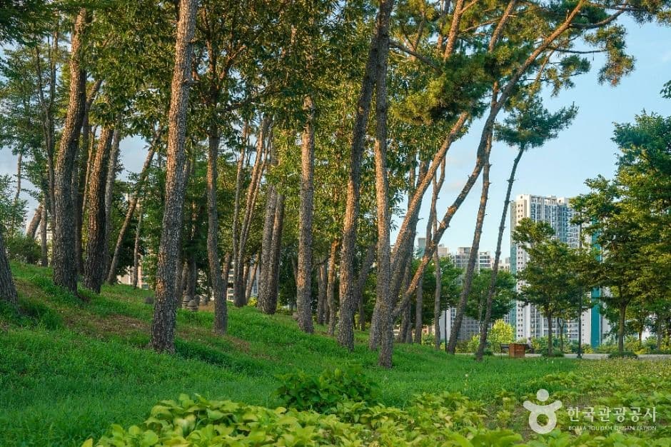 중산지 사진 4