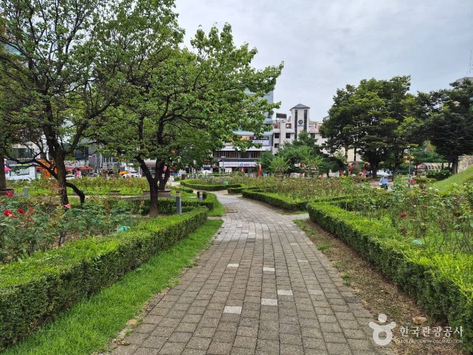 장미공원 사진 4