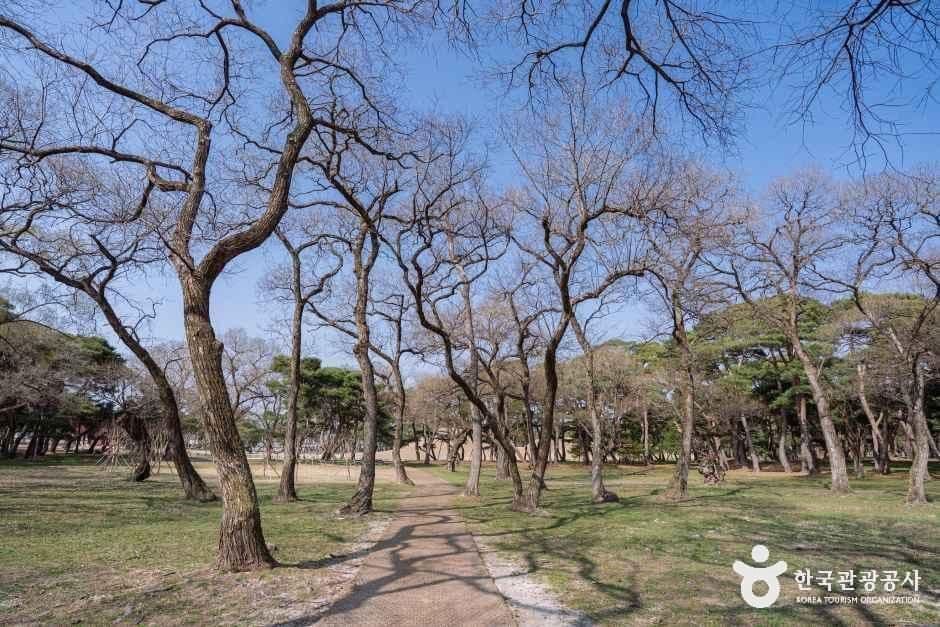 경주 오릉