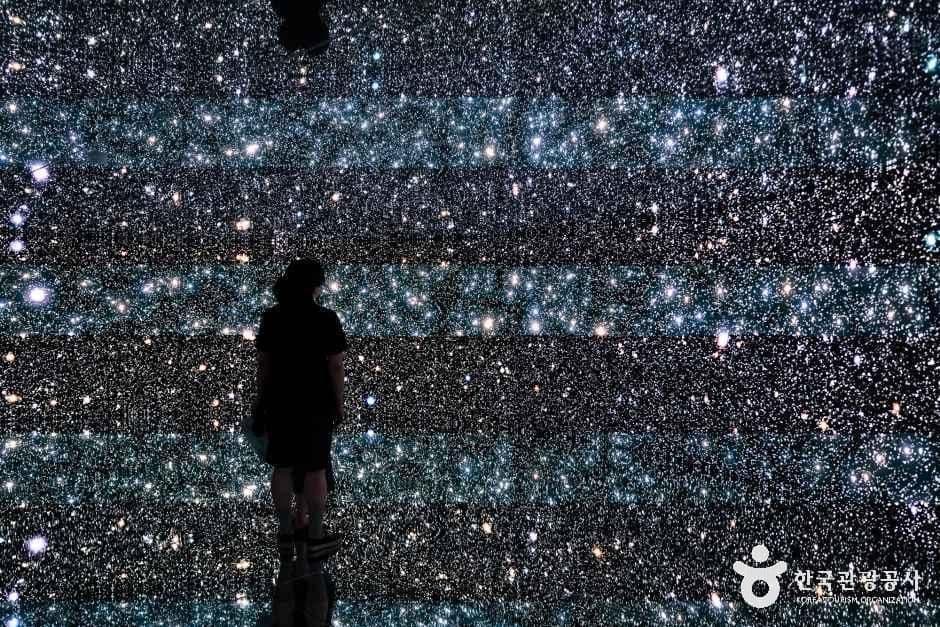 포도뮤지엄 사진 4