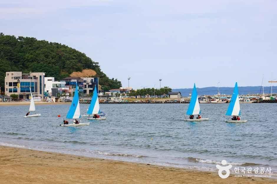 영일대해수욕장 사진 5