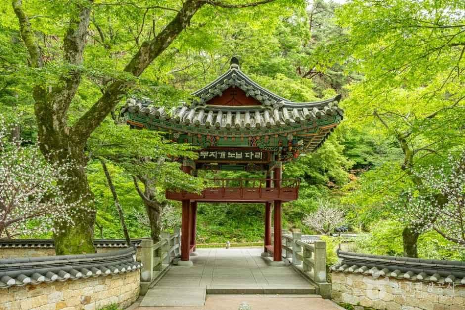 천은사(구례) 사진 6