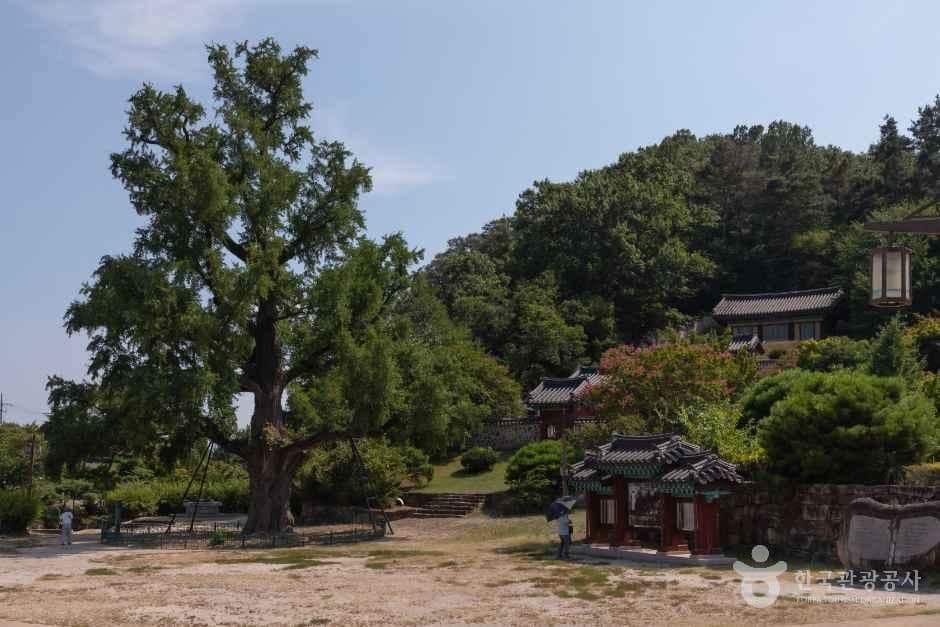 임고서원 사진 1