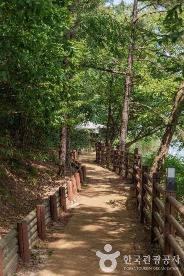 고모호수공원 사진 8