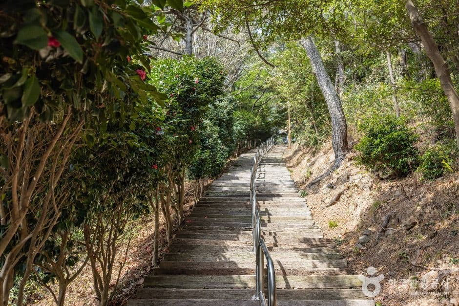 부산 암남공원 사진 4