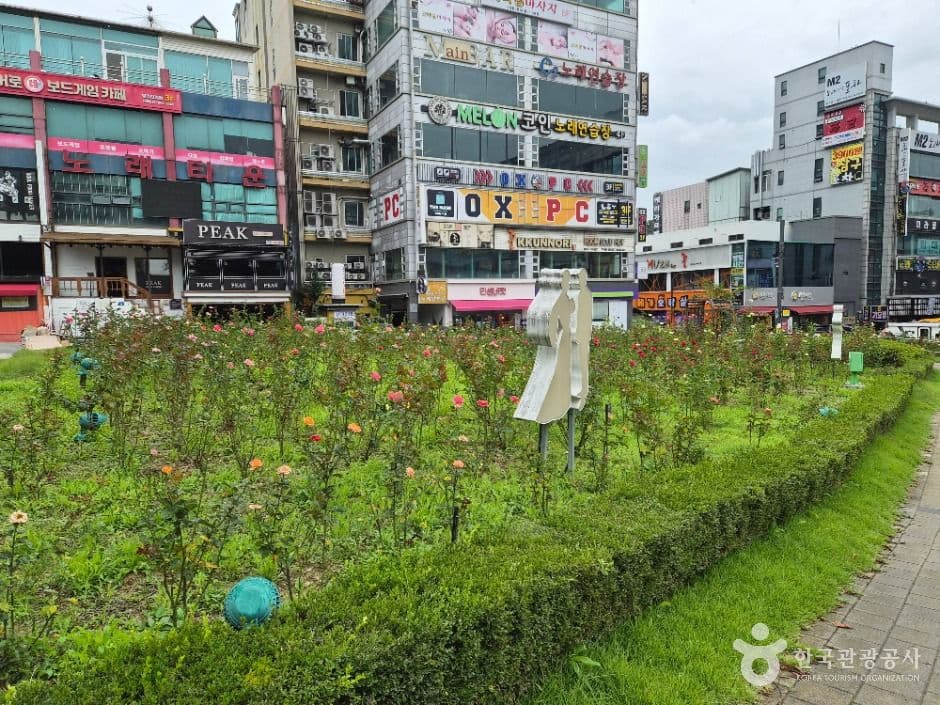 장미공원 사진 5