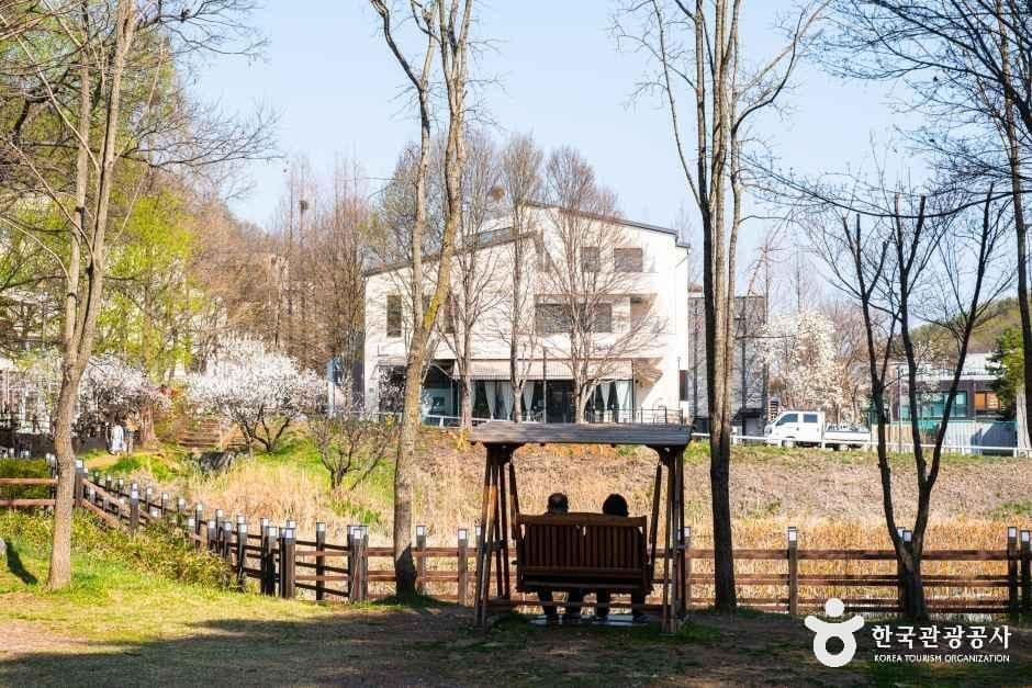헤이리 예술마을 사진 3