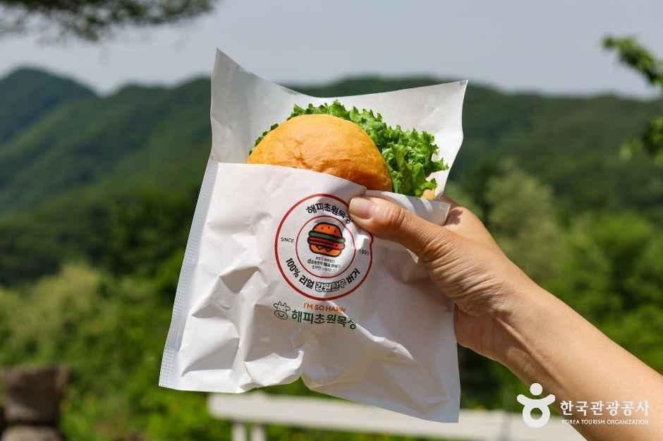 해피초원목장 사진 3