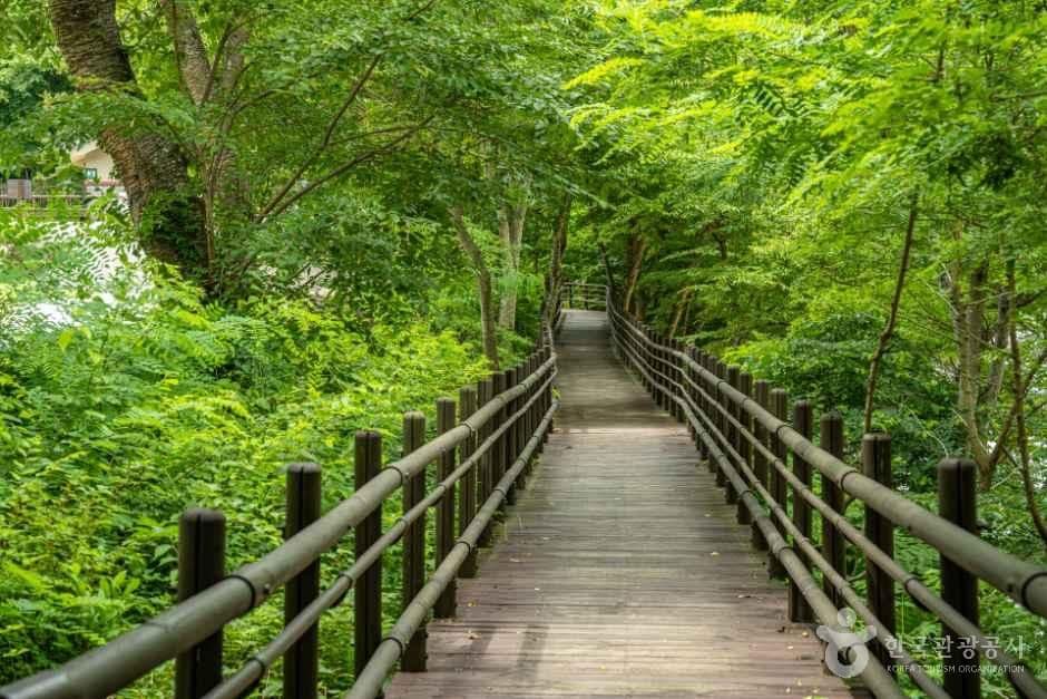 천은사(구례) 사진 7