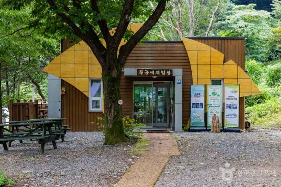 국립오서산자연휴양림 사진 3