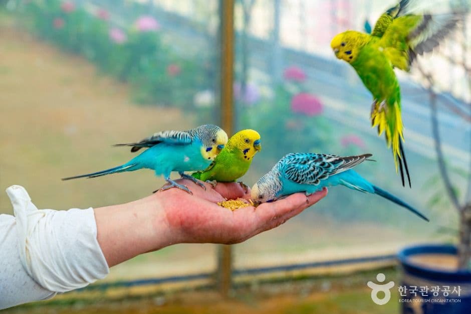 나눔농장(부천) 사진 5